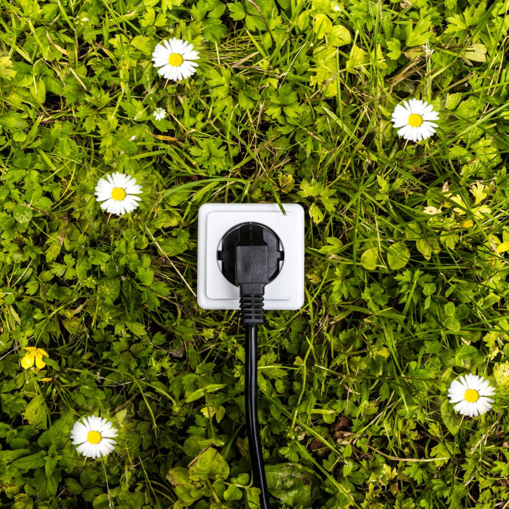 Steckdose auf Rasen